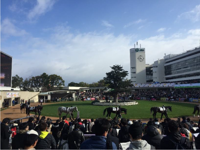 日本 京都 競馬場